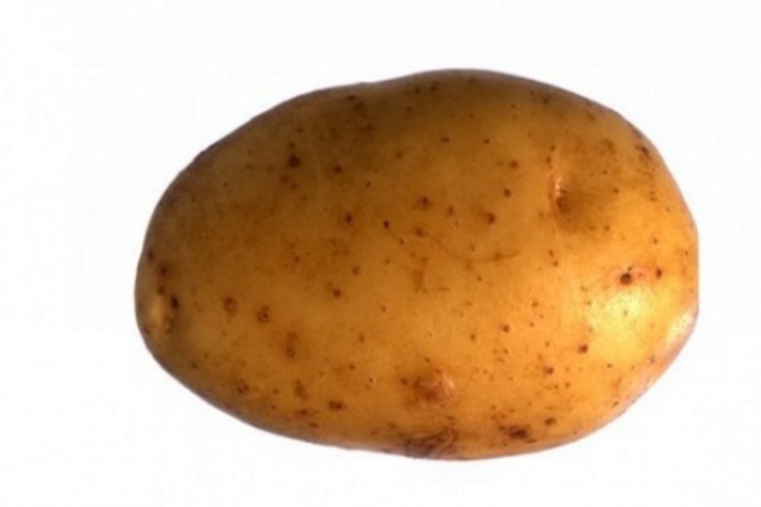 Potato